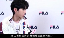 蔡徐坤娱乐圈爆料文,揭秘明星背后的真实故事