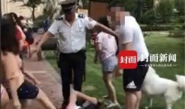 网友爆料遛狗视频大全,遛狗视频大全，萌宠瞬间萌化人心